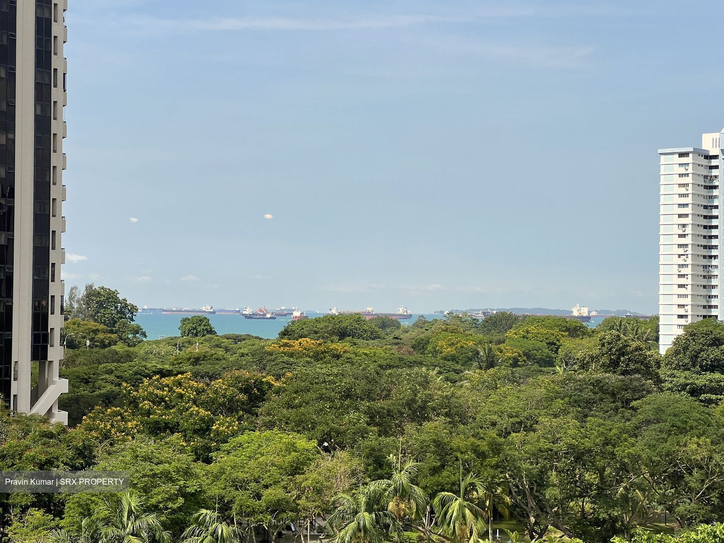 Bayshore Park (D16), Condominium #622625391